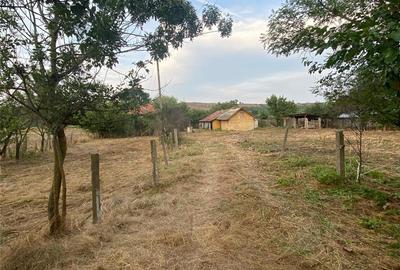 Casă cu 6 camere cu Teren 3400 Mp în Sprâncenata - 9
