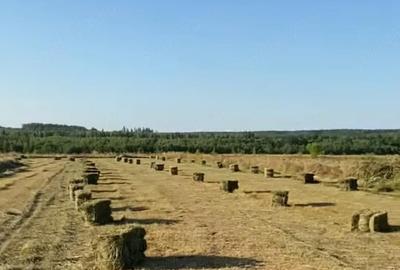 Teren de 8600 mp, în Vicovu de Sus - 3