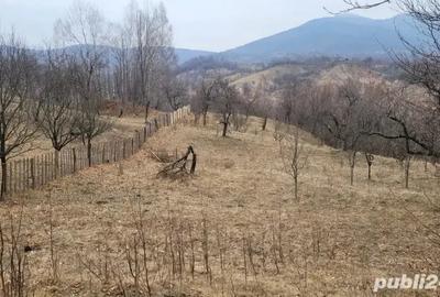 Teren de 2100 mp, în Podul Vadului