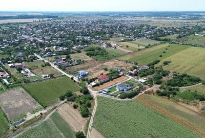 Teren de 10000 mp, în Dârza - 2