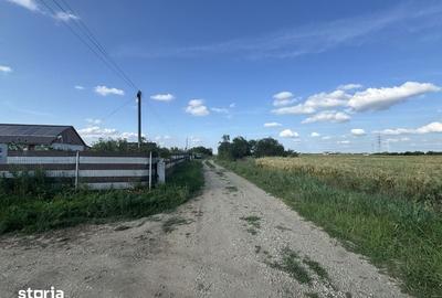 Teren de 9300 mp, în Central - 6
