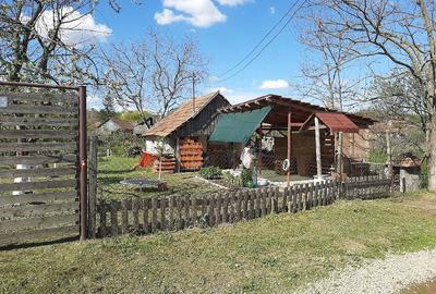Casă cu Teren 540 Mp în Sălard