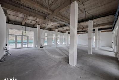 Spațiu comercial, de 300 mp, în Făget - 6