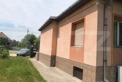 Casă cu 4 camere cu Teren 4783 Mp în Culciu