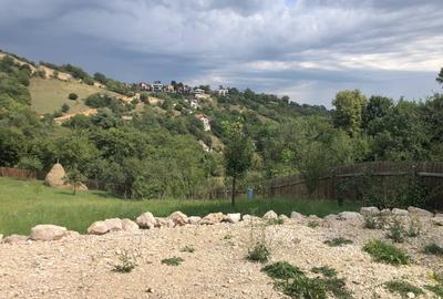 Teren Construcții intravilan de 4193 mp, în Schei - 10