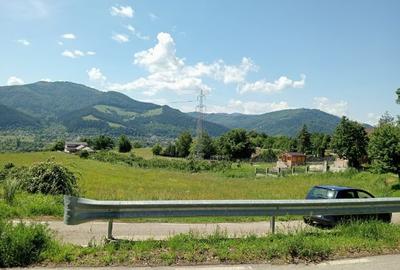 Teren intravilan de 8600 mp, în Viișoara - 4