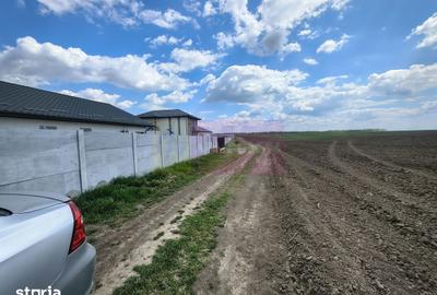 Teren de 3000 mp, în Cernica - 13