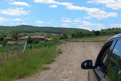 Teren de 17297 mp, în Almașu Mic - 8