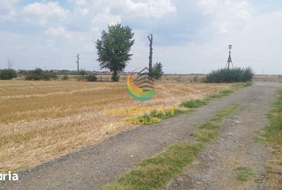 Teren de 441 mp, în Vidra