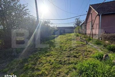 Casă cu 4 camere cu Teren 15000 Mp în Bichiș - 13