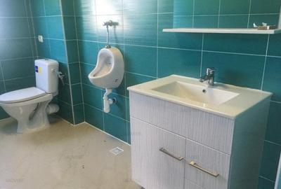 Spațiu industrial, de 300 mp, în Satulung - 5