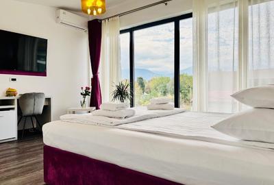 Casă individuală cu 10 camere cu Teren 4600 Mp în Central