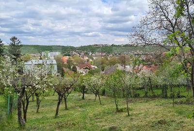 Casă individuală cu 7 camere cu Canalizare în Nord-Vest