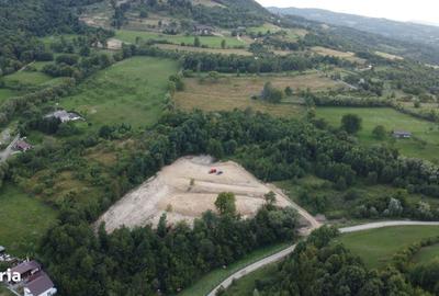 Teren de 12050 mp, în Josenii Bârgăului - 5