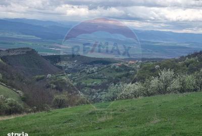 Teren de 23600 mp, în Vințu de Jos - 6