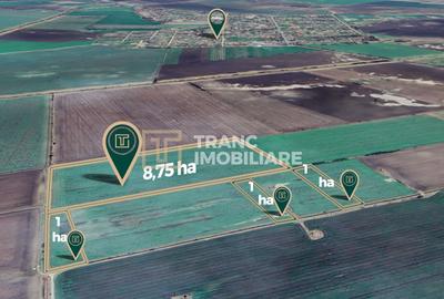 Teren agricol extravilan de 117500 mp, în Turnu - 1