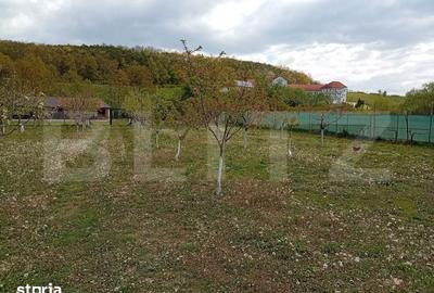 Spațiu comercial, de 6,800 mp, în Central - 18