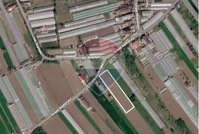 Teren de 5000 mp, în Colibași