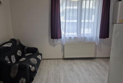 Apartament cu 2 camere semidecomandat în Dosu Bricii