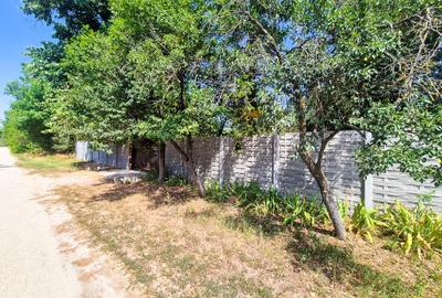 Casă individuală cu 3 camere cu Teren 3287 Mp în Urlueni - 3