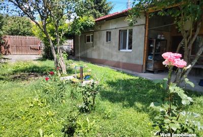 Casă individuală cu 2 camere cu Teren 321 Mp în Între Lacuri - 2