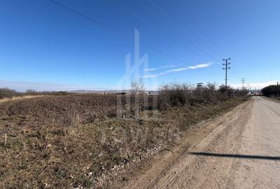 Teren Construcții intravilan de 3500 mp, în Exterior Sud - 13