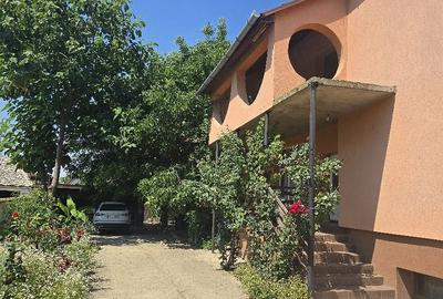 Casă cu Teren 2200 Mp în Dudeștii Vechi - 2
