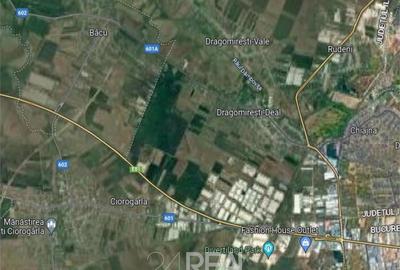 Teren de 22013 mp, în Dragomirești-Deal - 2