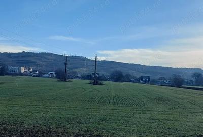 Teren de 4730 mp, în Boldești - 5
