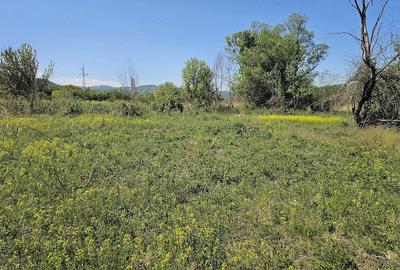 Teren de 12667 mp, în Șoimuș - 2