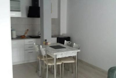 Apartament cu 2 camere nedecomandat în Poiana Țapului - 10