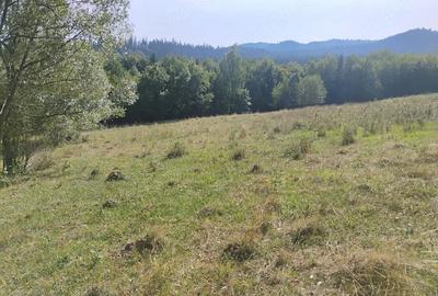 Teren de 10800 mp, în Văratec