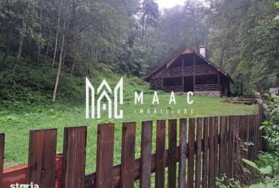 Casă cu 5 camere cu Teren 1466 Mp în Șura Mică - 4