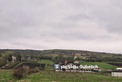 Teren de 3350 mp, în Viișoara - 3