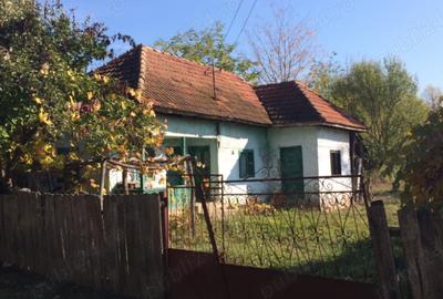 Casă cu 2 camere în Tismana