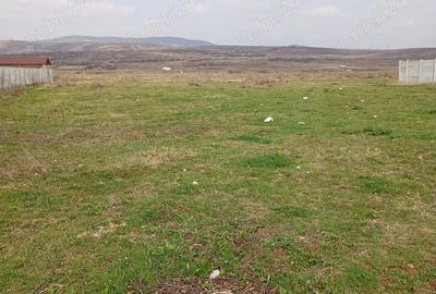 Teren de 3000 mp, în Schela - 3