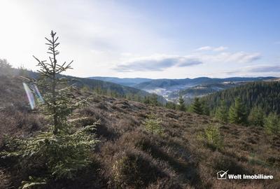 Teren intravilan de 56829 mp, în Beliș - 3