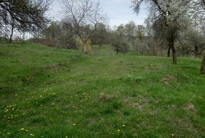 Teren de 3000 mp, în Căpățânenii Pământeni - 6