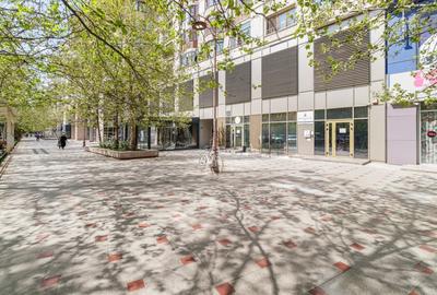 Apartament cu 6 camere decomandat, mobilat în Splaiul Unirii - 1