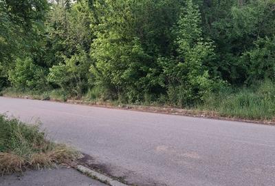 Casă cu 4 camere în Lehliu - 4