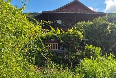 Teren Construcții intravilan de 1380 mp, în Aninoasa - 3