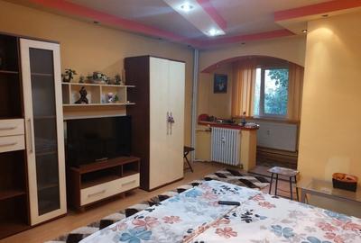 Garsonieră în Brazda lui Novac