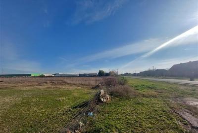 Teren Construcții intravilan de 170000 mp, în Nord - 6