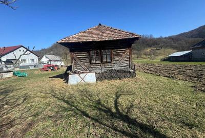 Casă cu 2 camere în Măgoaja - 5
