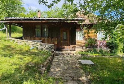 Casă cu 5 camere cu Teren 3800 Mp în Gura Teghii
