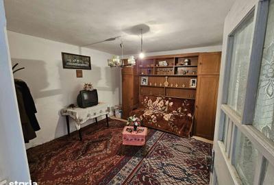 Casă cu 6 camere cu Teren 2000 Mp în Vișina