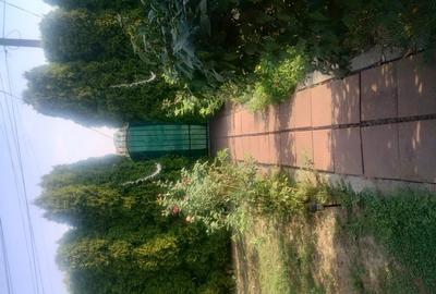 Casă cu 3 camere în Hitiaș - 5