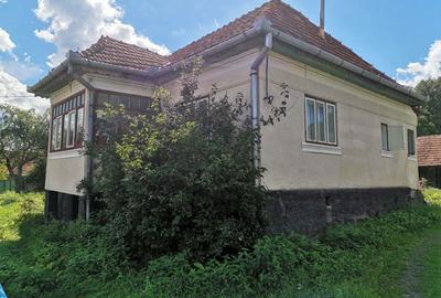 Casă cu 5 camere cu Teren 6800 Mp în Hărțăgani - 2