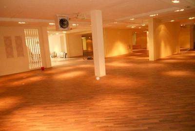 Spațiu comercial, de 1,500 mp, în Gheorghe Doja - 7