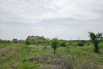 Teren de 560 mp, în Dârza - 9